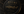 Sturg Gold