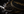 Sturg Gold
